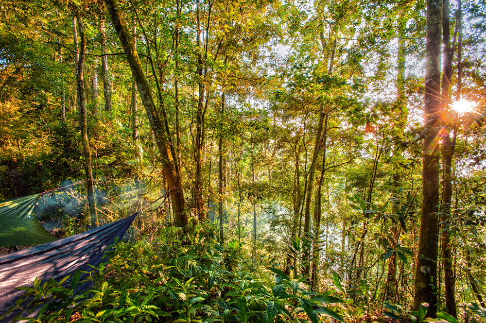 A hammock among the trees at SpyderHill in the Negeri Sembilan rainforest